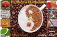 /album/kepgaleria%3a-k%c3%a0ve-cappuccino/harmonia-k%c3%a0vekoktel-jpg/